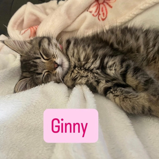 Photo of Ginny