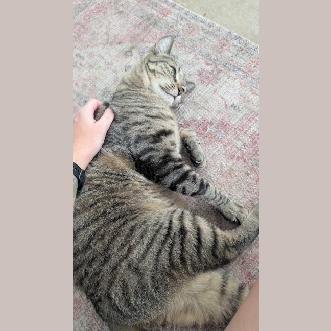 Photo of Storm