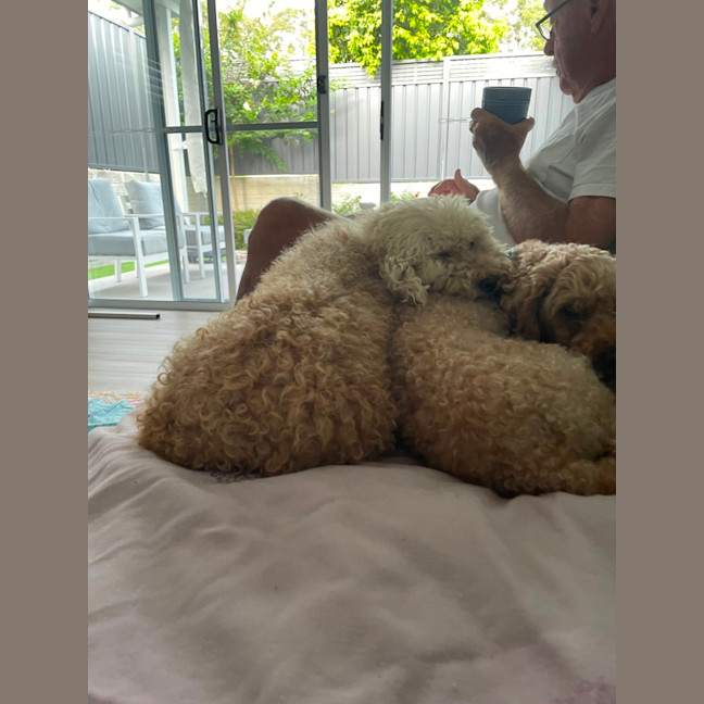 Photo of Lilly And Murphy 