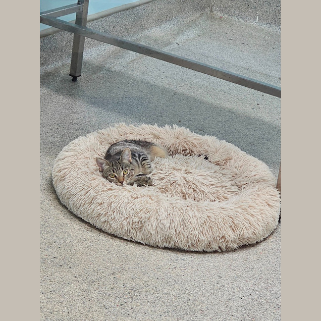 Photo of Thelma & Louise