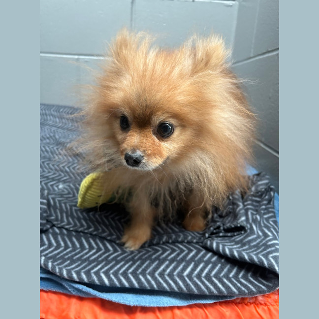 Photo of Max