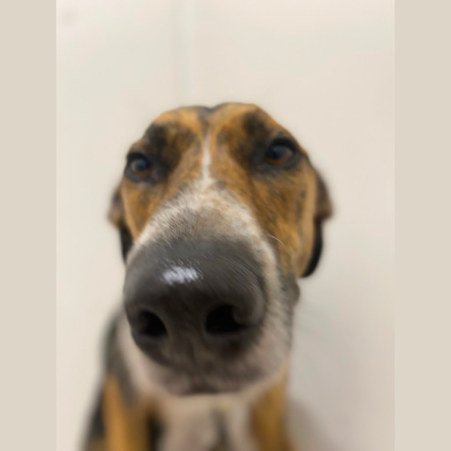 Photo of Lucy