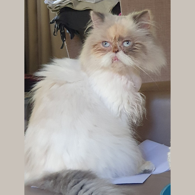 Photo of Samantha 