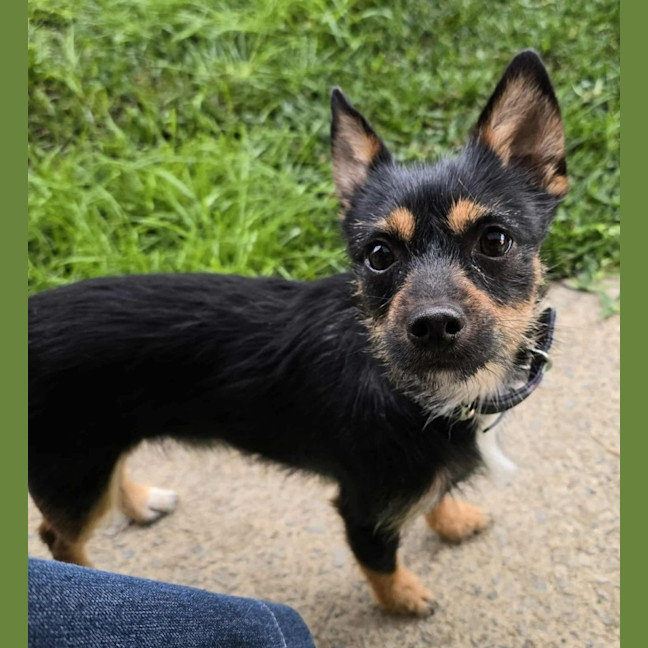 Photo of Ernie (8988)