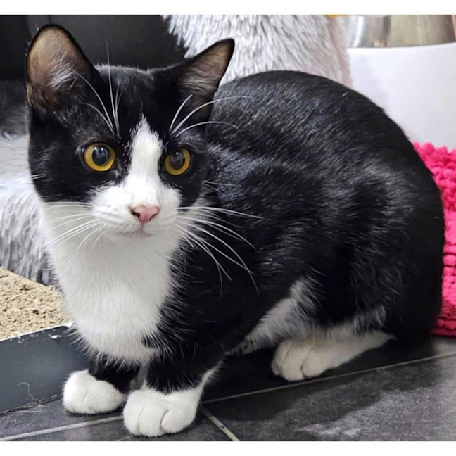 Photo of 11975   Murphy