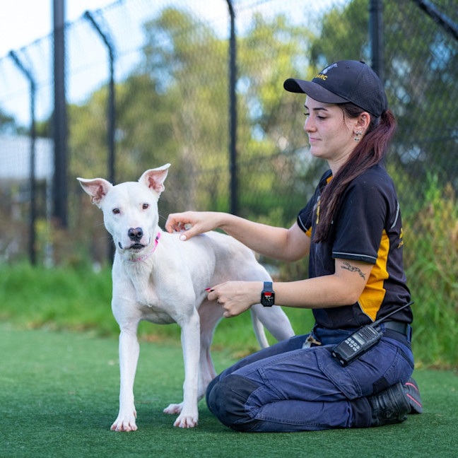 Photo of Quinn Imp 2781