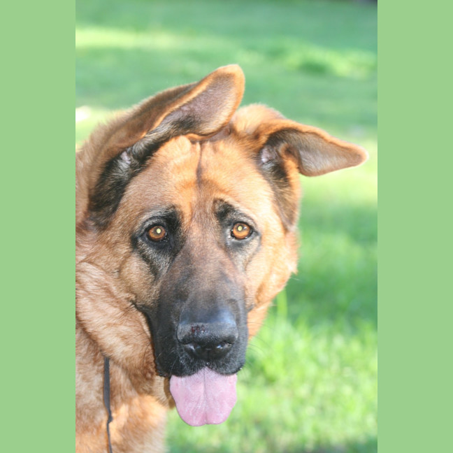 Photo of Roxy