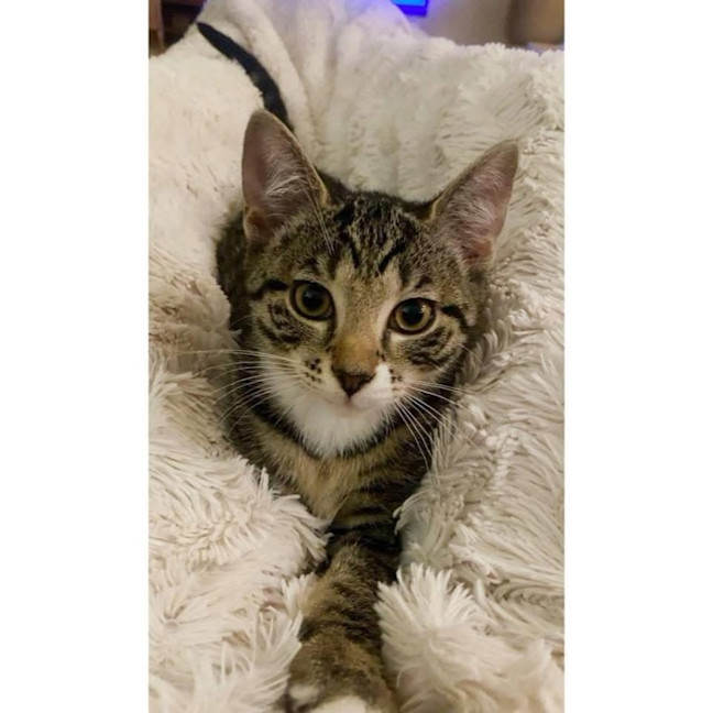 Photo of 12417   Princess Ellie