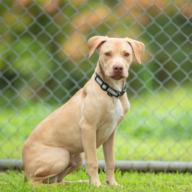 Photo of Cash