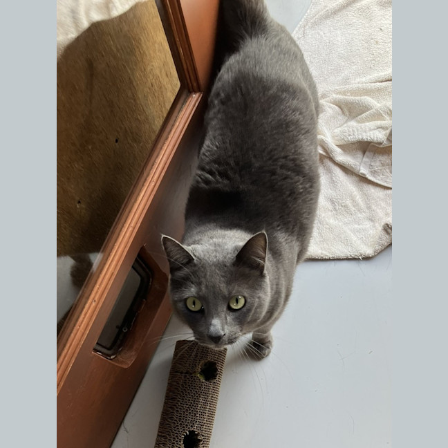 Photo of Norbert