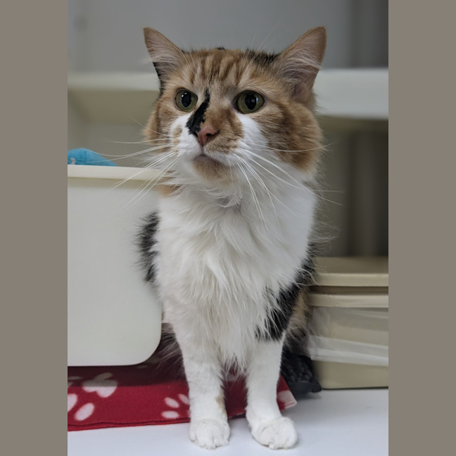 Photo of 🥂 Clicquot 5748 🥂