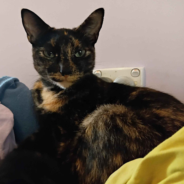 Photo of Elodie