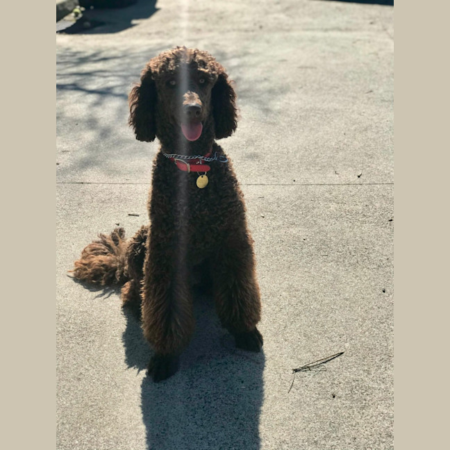 Photo of Xander