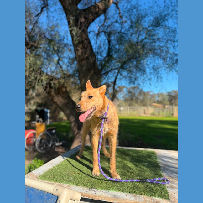 Photo of Lexi 
