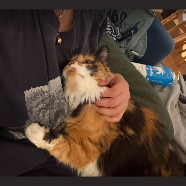 Photo of Jinx