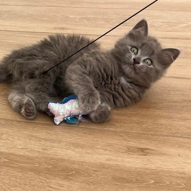 Photo of Cloud