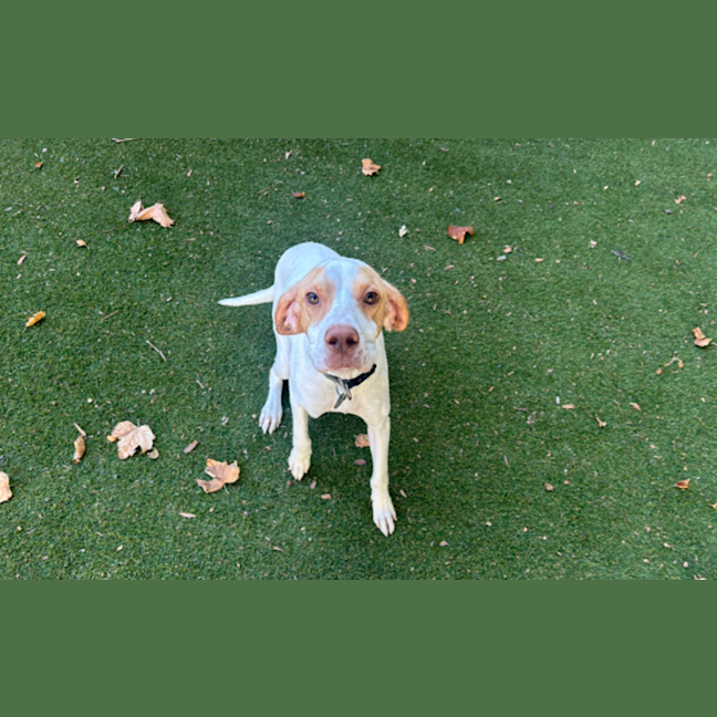 Photo of Luna