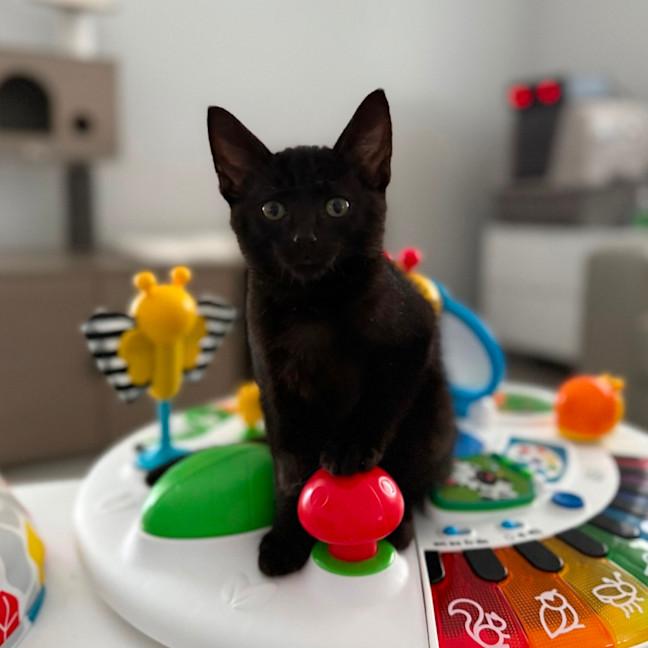 Photo of Elliott 🥥