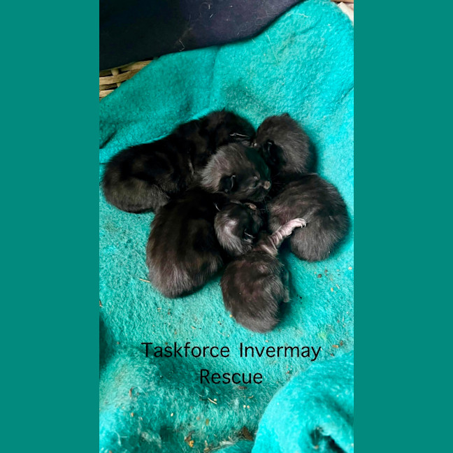 Photo of Prada & Vadar