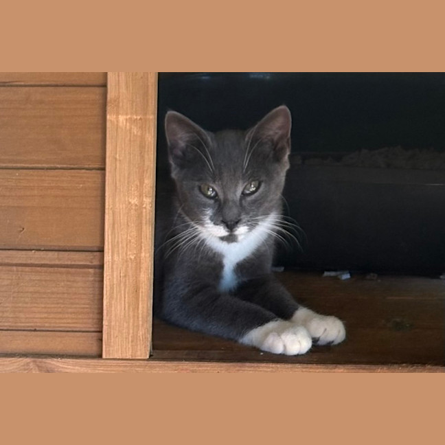 Photo of Mr Stash