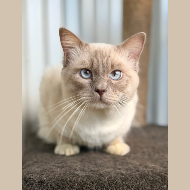 Photo of Jerry