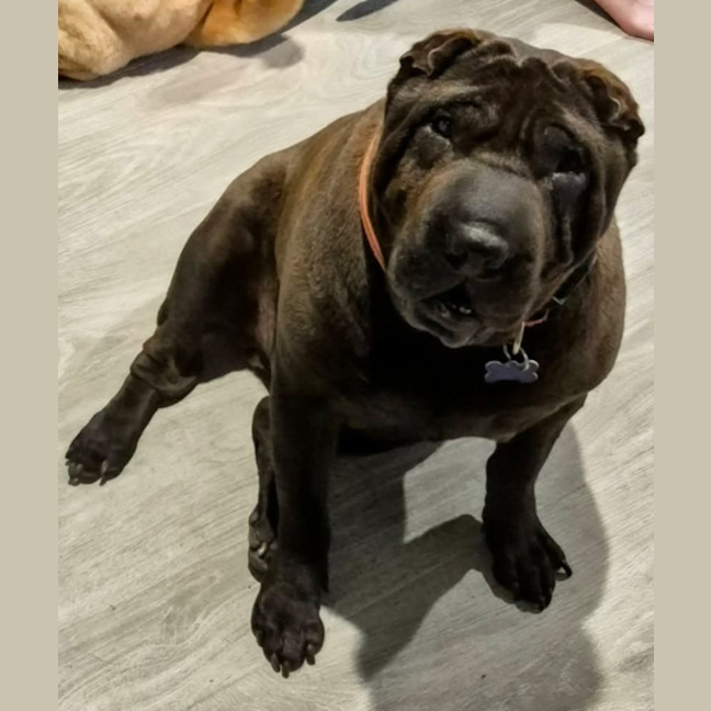 Photo of Molly & Sid