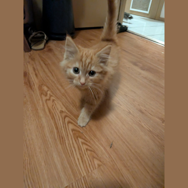 Photo of Bert