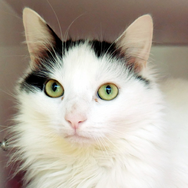 Photo of Bella Rstk011312