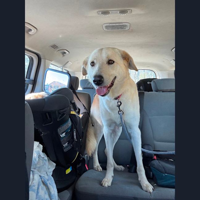 Photo of Atlas