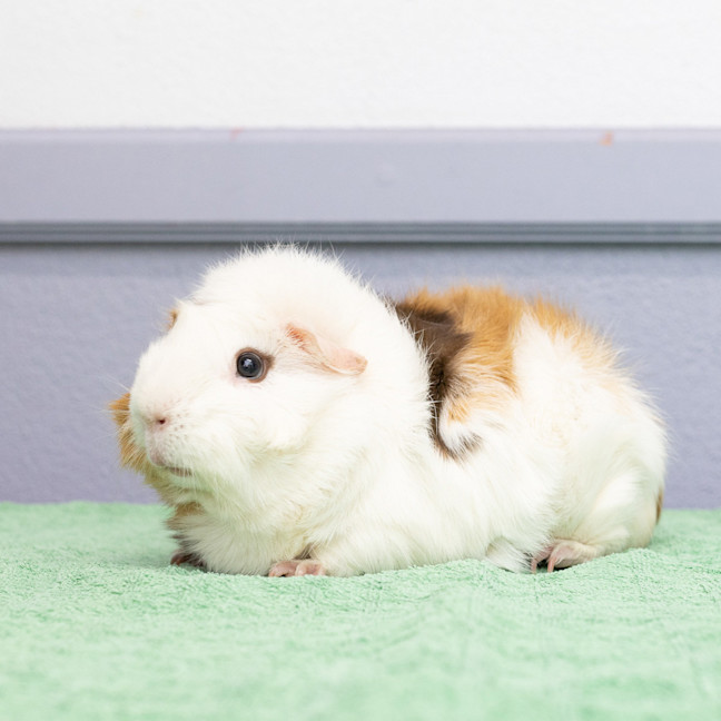 Photo of Alan
