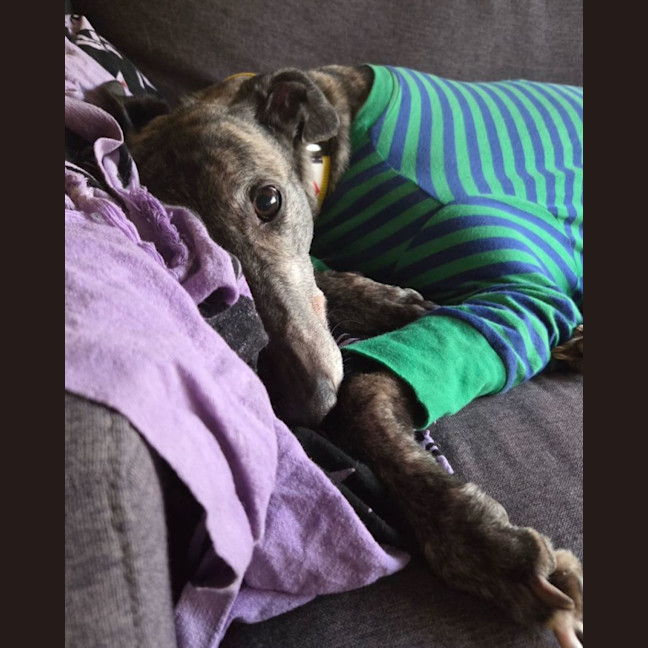 Photo of Nora