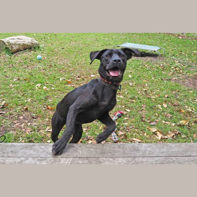 Photo of Lilly Now Rhuma