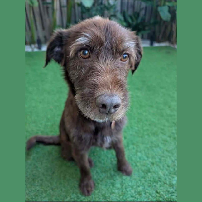 Photo of Bingo