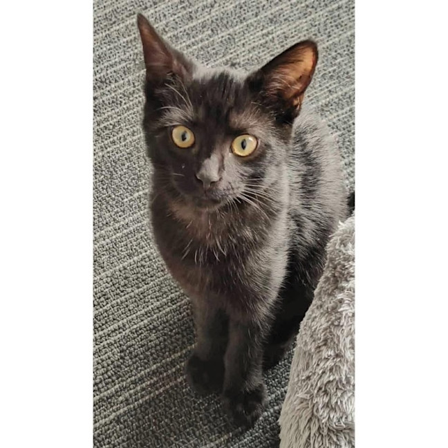 Photo of 13806   Zena