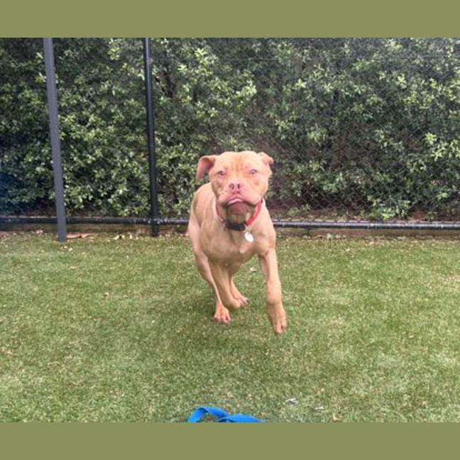 Photo of Bruce Bogtrotter