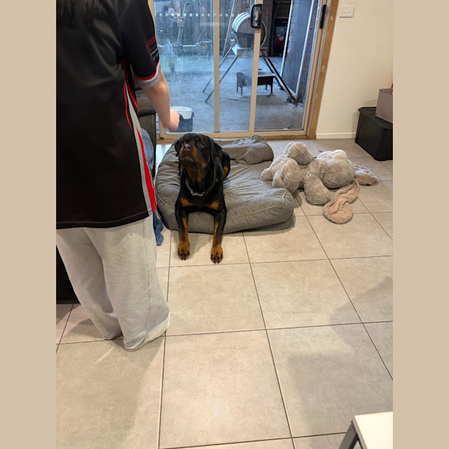 Photo of Duke