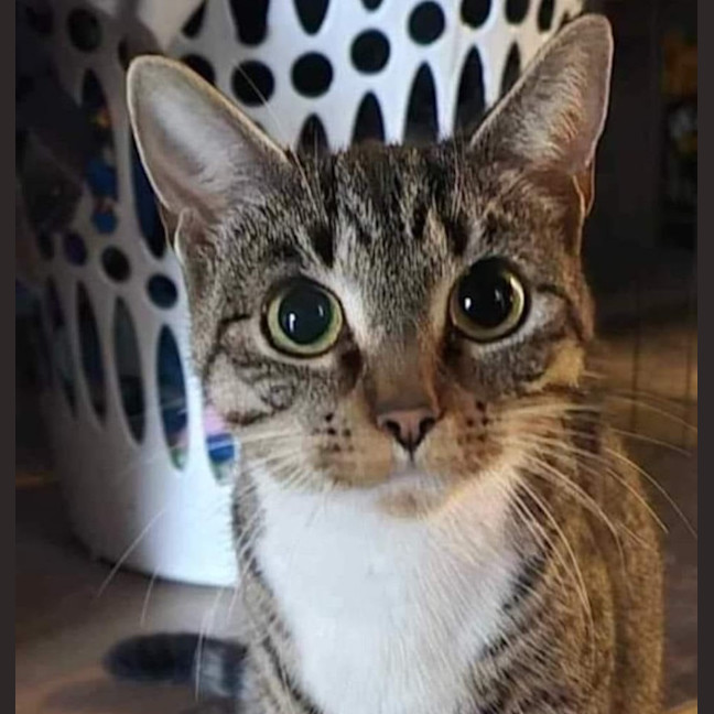 Photo of Sheila (Would Like To Live On A Property)