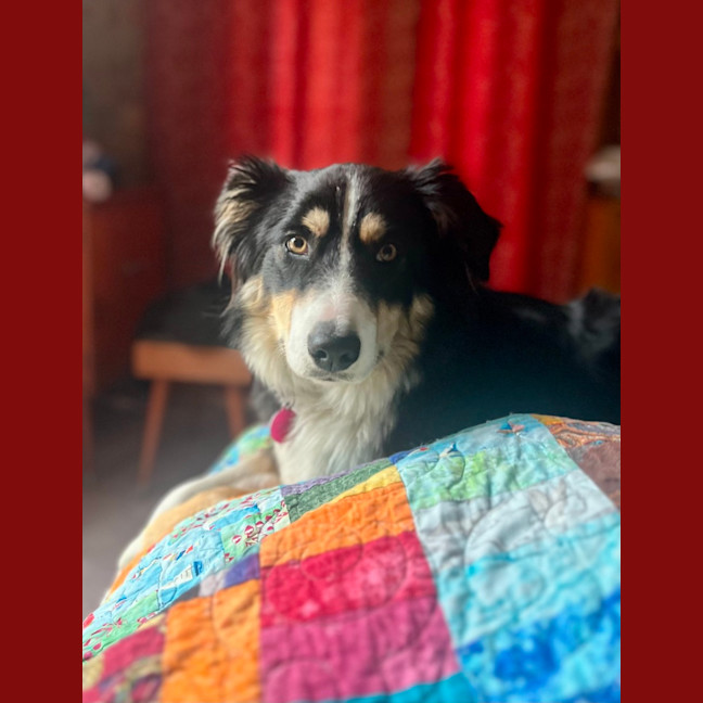 Photo of Flossie