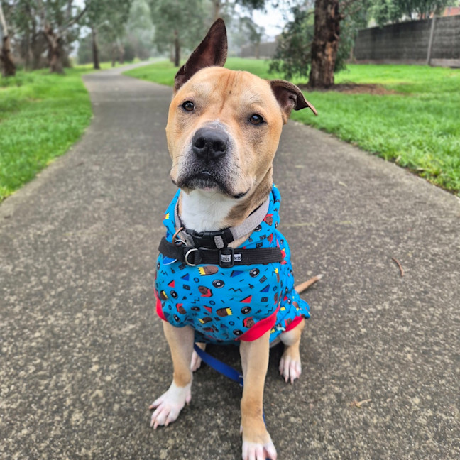 Photo of Jack