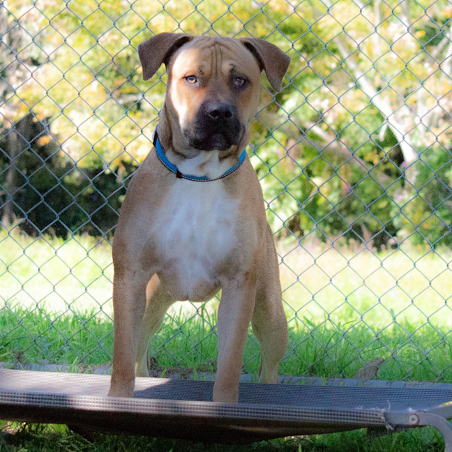 Photo of Barney 
