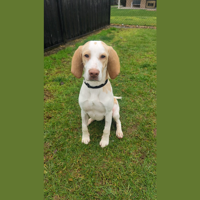 Photo of Post Malone