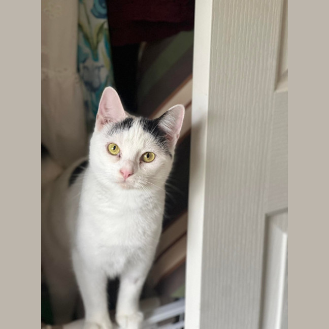 Photo of Lilly