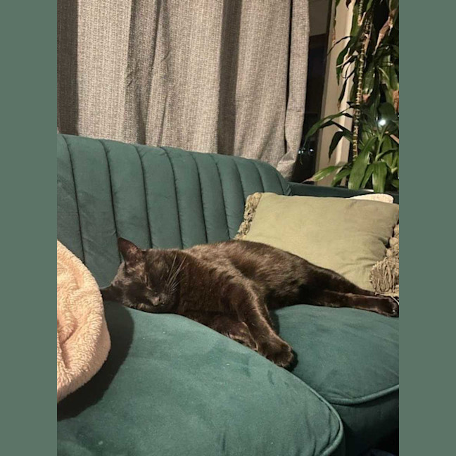 Photo of Neo