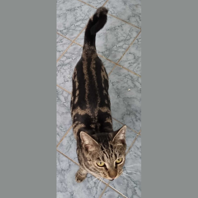 Photo of Lara