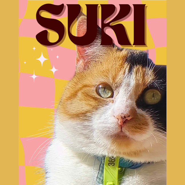 Photo of Suki