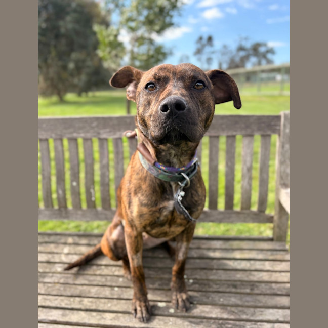 Photo of Hazel