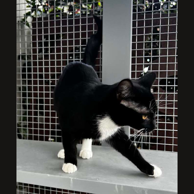 Photo of Olivia