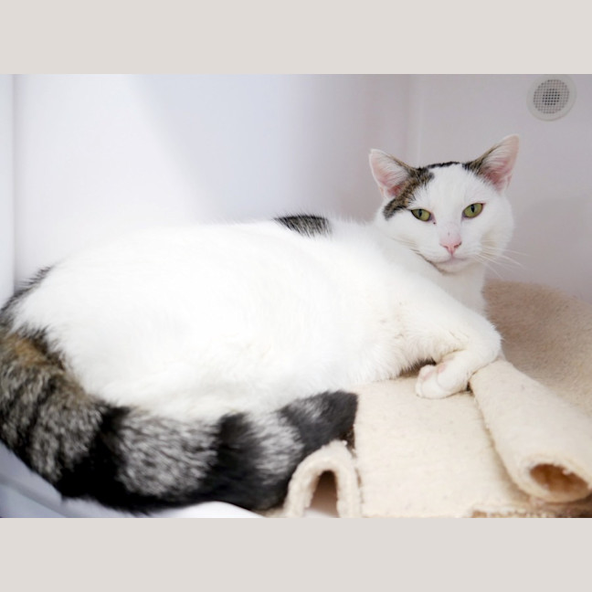 Photo of Woody Sta012912