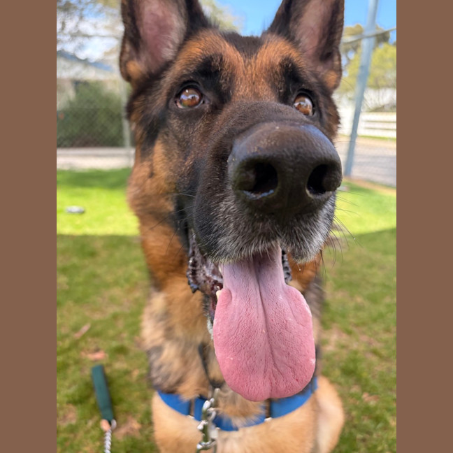 Photo of Kaiser