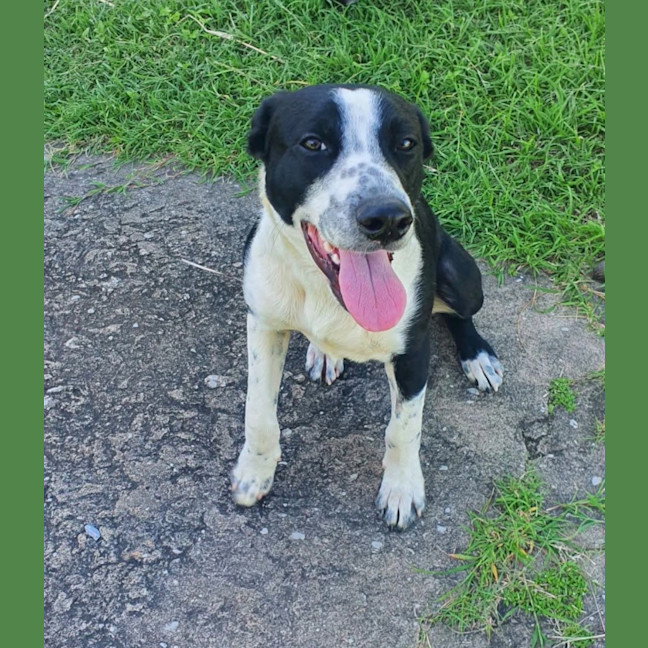 Photo of Tucker